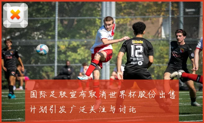 国际足联宣布取消世界杯股份出售计划引发广泛关注与讨论