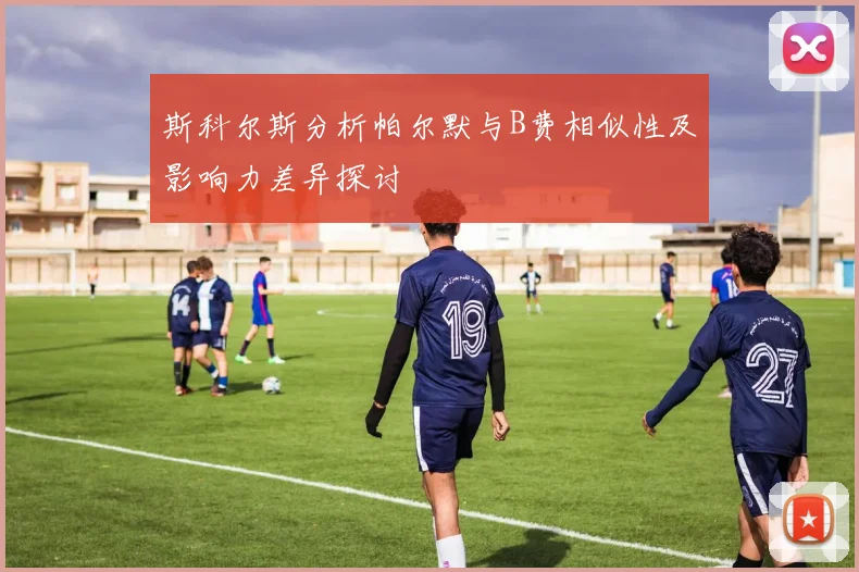 斯科尔斯分析帕尔默与B费相似性及影响力差异探讨