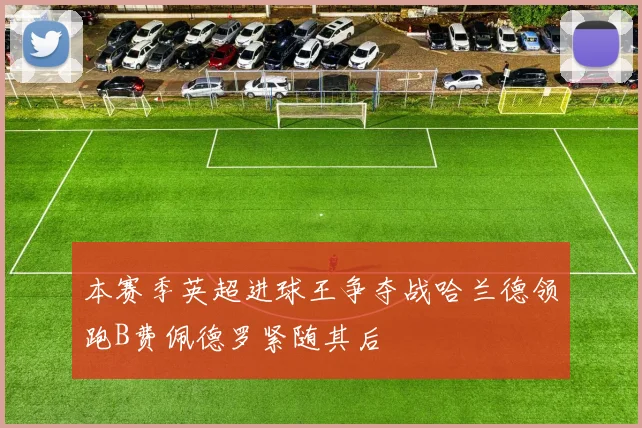 本赛季英超进球王争夺战哈兰德领跑B费佩德罗紧随其后